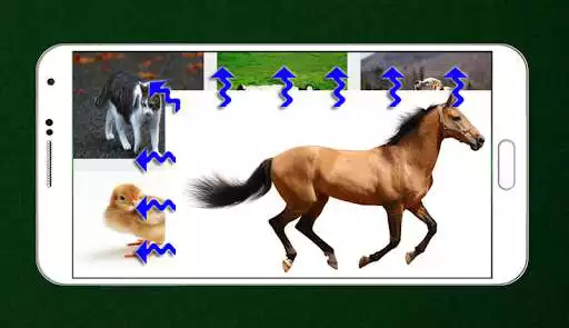 Play Vov Animal Sounds as an online game Vov Animal Sounds with UptoPlay