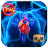 Free play online VR 360 Inside Human Body 3D Atlas ( Anatomy ) APK