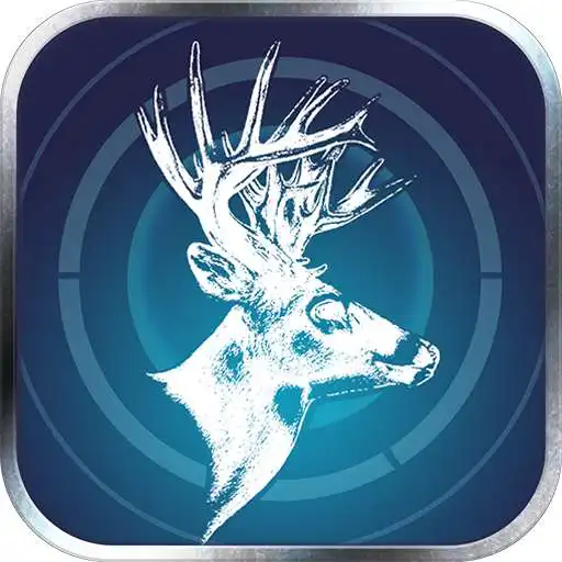Play VR BOW APK Play VR BOW APK