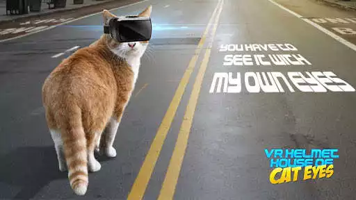 Play VR Helmet House of Cat Eyes