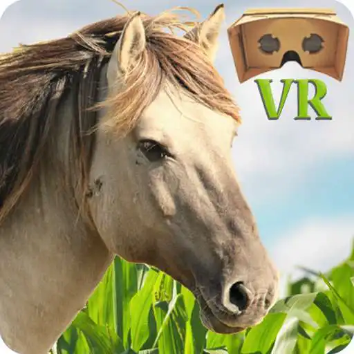 Play VR Horse Ride APK