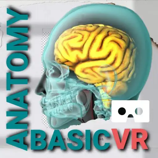 Play VR Human Anatomy Basic APK