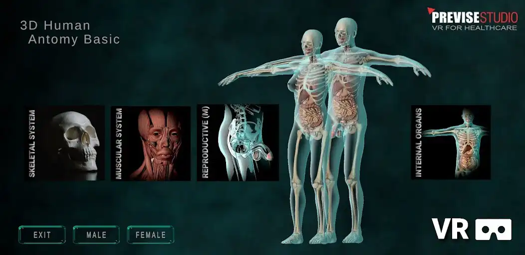 Play VR Human Anatomy Basic as an online game VR Human Anatomy Basic with UptoPlay