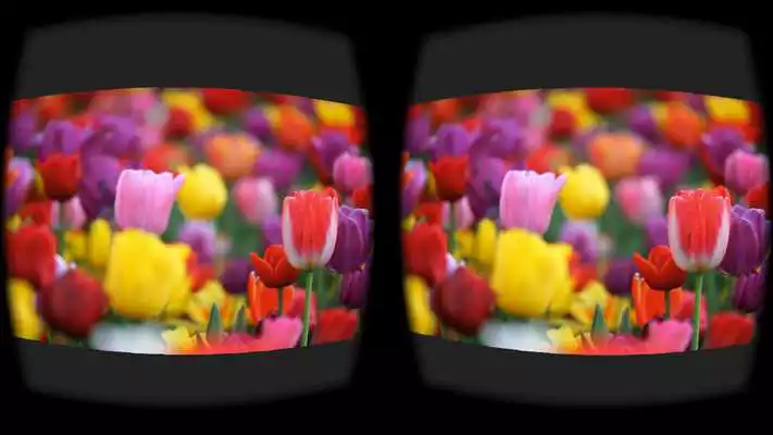 Play VR Player