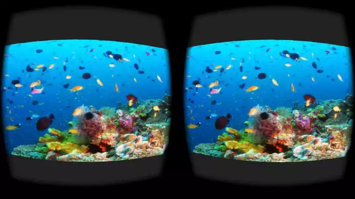 Play VR Player