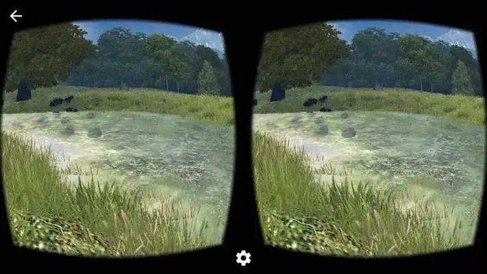 Play VR Relax Nature Walk