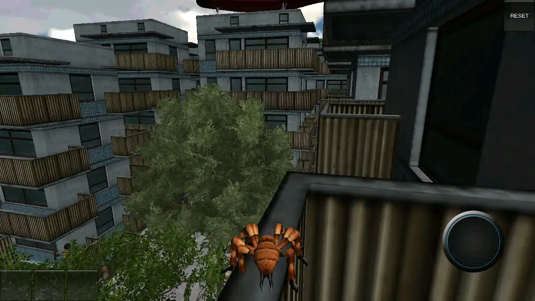 Play VR Spider