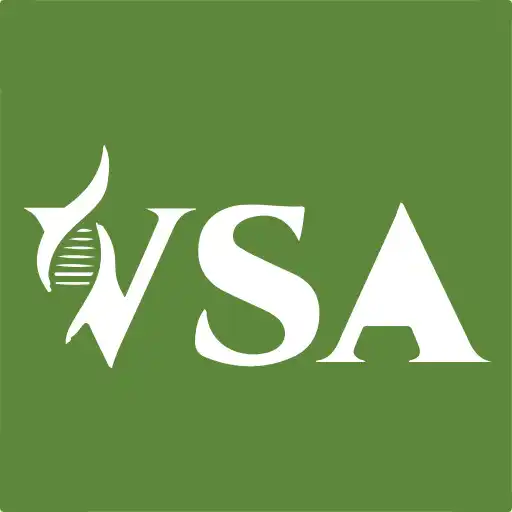 Play VSA Store APK