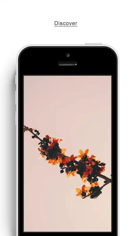 Play VSCY Photo Editor