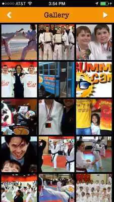 Play Vuongs Martial Arts