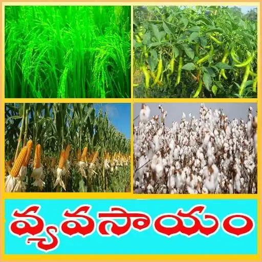 Play Vyavasayam Telugu Agriculture APK Play Vyavasayam Telugu Agriculture APK