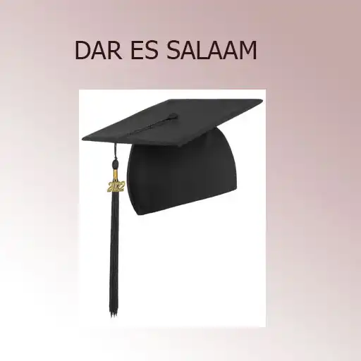 Play Vyuo Dar-es-salaam APK
