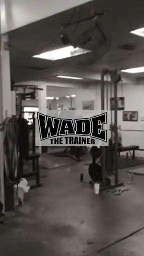 Play Wade The Trainer  and enjoy Wade The Trainer with UptoPlay