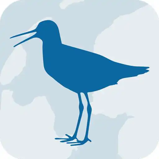 Play Wadvogels APK Play Wadvogels APK