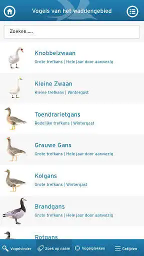Play Wadvogels as an online game Wadvogels with UptoPlay