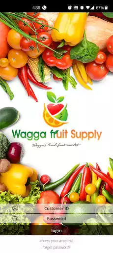 Play Wagga Fruit Supply  and enjoy Wagga Fruit Supply with UptoPlay