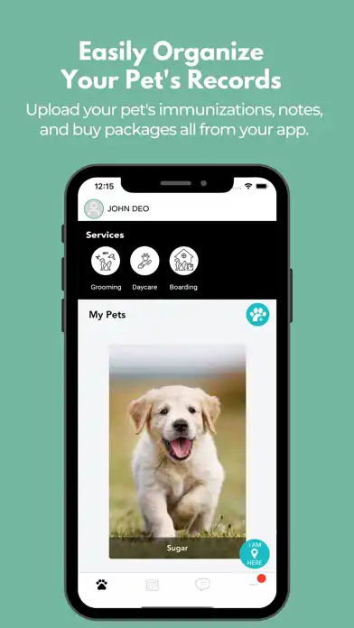 Play Wags and Whiskers Stay  Play  and enjoy Wags and Whiskers Stay  Play with UptoPlay