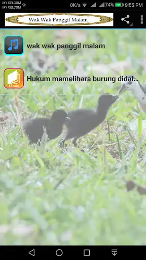 Play Wak Wak Panggil Malam  and enjoy Wak Wak Panggil Malam with UptoPlay