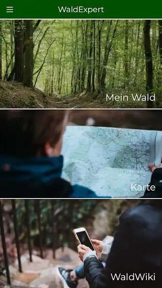 Play WaldExpert  and enjoy WaldExpert with UptoPlay