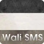 Free play online Wali SMS Theme: Leather Feel APK