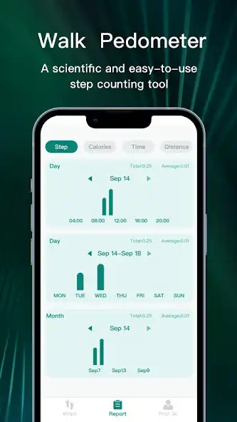 Play Walk Pedometer as an online game Walk Pedometer with UptoPlay