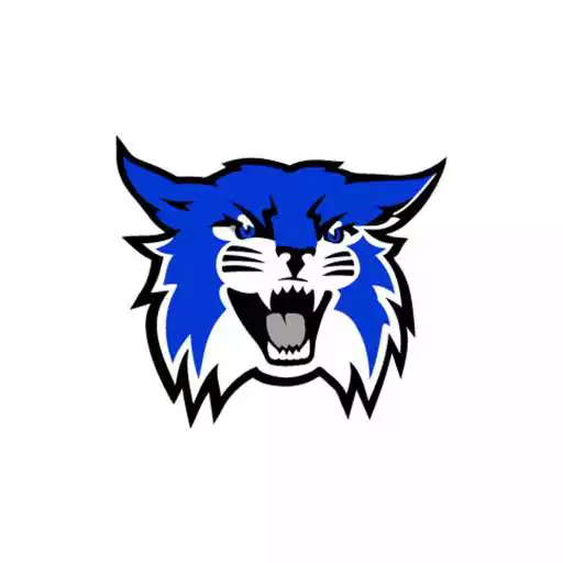 Play Wallace Wildcats APK Play Wallace Wildcats APK