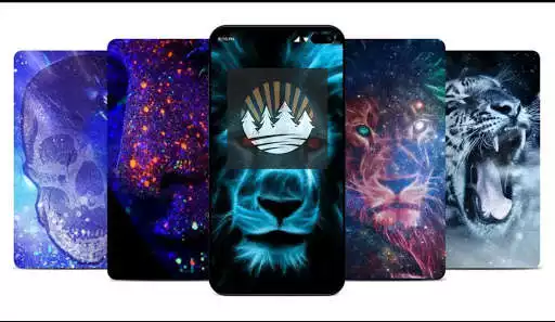 Play WallApp  and enjoy WallApp with UptoPlay