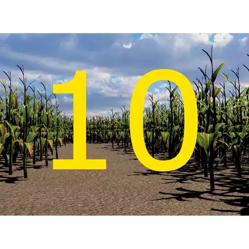 Play Walla Walla Corn Maze Year 10 APK Play Walla Walla Corn Maze Year 10 APK