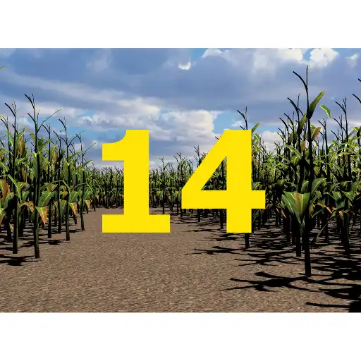 Play Walla Walla Corn Maze Year 14 APK