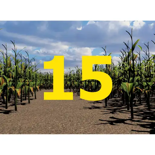 Play Walla Walla Corn Maze Year 15 APK
