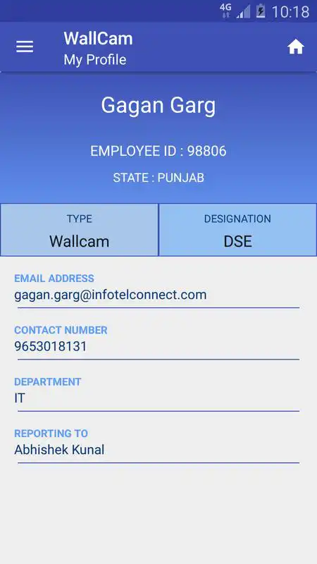 Play WallCam Delight