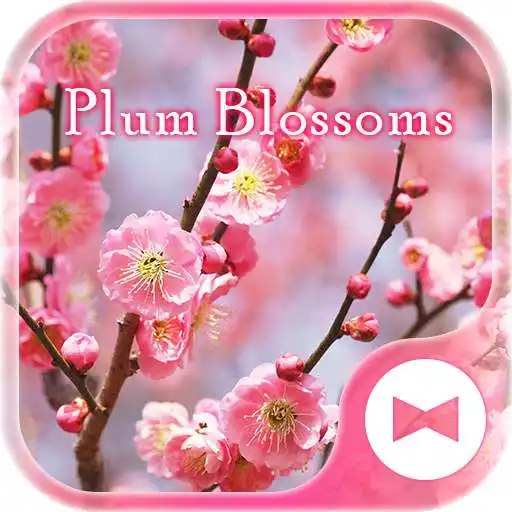 Free play online Wallpaper Advent of Spring: Plum BlossomsTheme APK