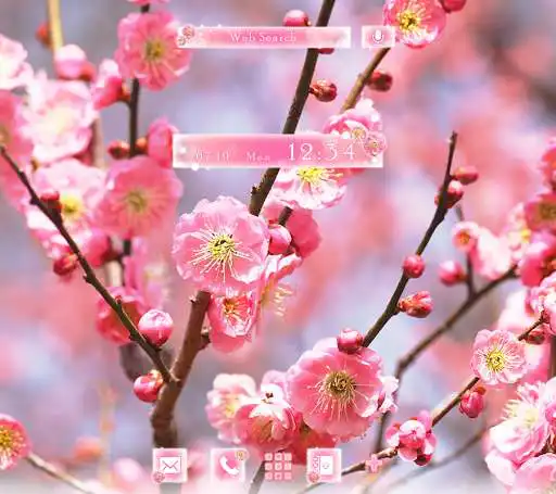Play APK Wallpaper Advent of Spring: Plum BlossomsTheme  and enjoy Wallpaper Advent of Spring: Plum BlossomsTheme using ApkOnlin