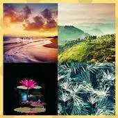 Free play online Wallpaper Android HD APK