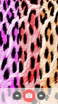 Play Wallpaper: Animal Print Play Wallpaper: Animal Print