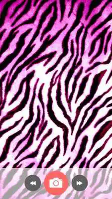 Play Wallpaper: Animal Print Play Wallpaper: Animal Print
