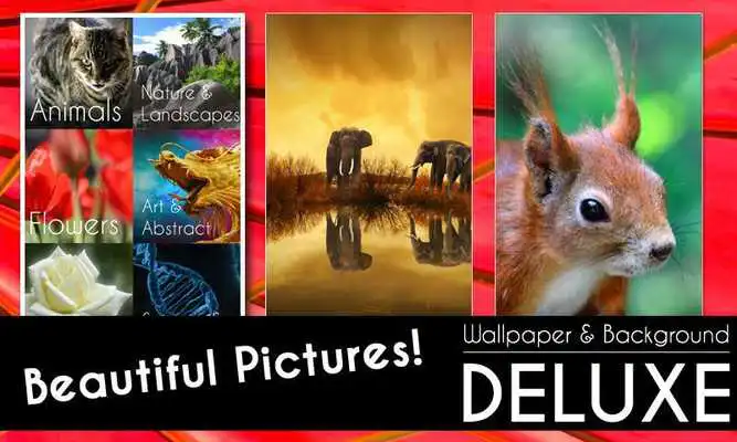 Play Wallpaper  Background Deluxe