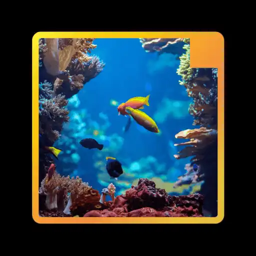 Play Wallpaper Bawah Laut APK