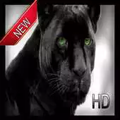 Free play online wallpaper black panther APK