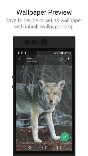 Play APK WallpaperBoard Demo  and enjoy WallpaperBoard Demo with UptoPlay com.dm.wallpaper.board.demo