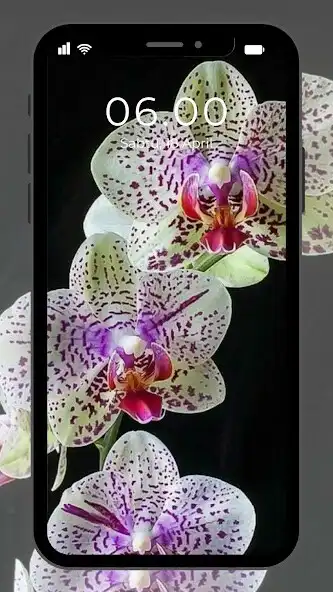 Play Wallpaper Bunga Anggrek and enjoy Wallpaper Bunga Anggrek with UptoPlay Play Wallpaper Bunga Anggrek and enjoy Wallpaper Bunga Anggrek with UptoPlay