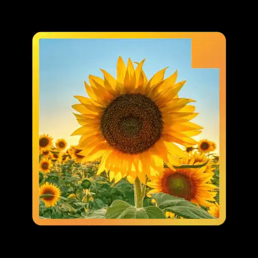 Play Wallpaper Bunga Matahari APK