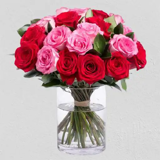 Play Wallpaper Bunga Mawar APK