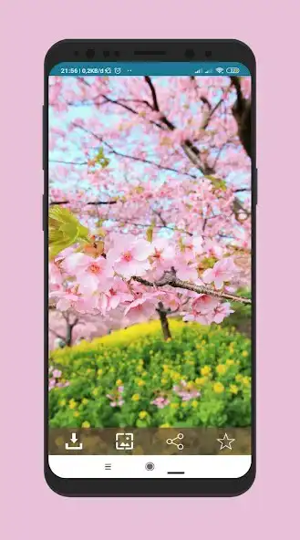 Play Wallpaper Bunga Sakura and enjoy Wallpaper Bunga Sakura with UptoPlay Play Wallpaper Bunga Sakura and enjoy Wallpaper Bunga Sakura with UptoPlay