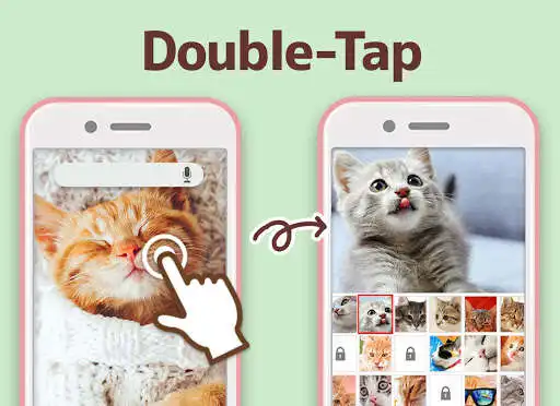 Play Wallpaper Cat Collection as an online game Wallpaper Cat Collection with UptoPlay