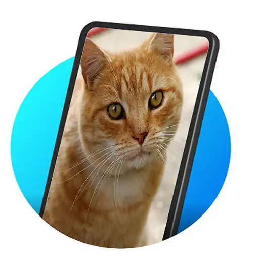 Play wallpaper cat HD APK