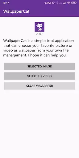 Play Wallpaper Cat Play Wallpaper Cat