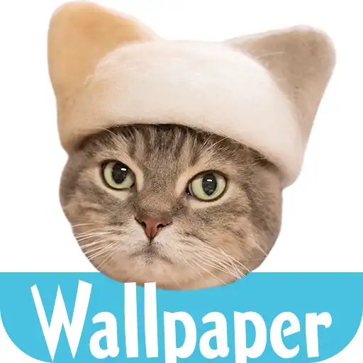 Play Wallpaper: Cats Hair Hats APK Play Wallpaper: Cats Hair Hats APK