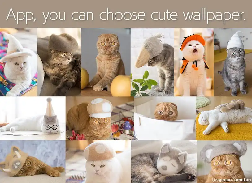 Play Wallpaper: Cats Hair Hats  and enjoy Wallpaper: Cats Hair Hats with UptoPlay