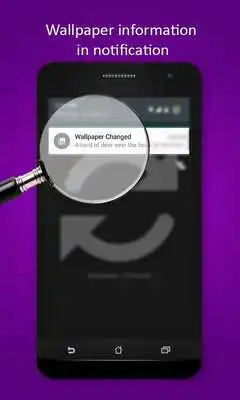 Play Wallpaper Daily